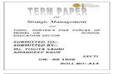 Strategic Term Paper 2