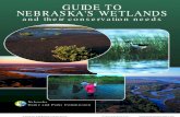 Guide to Nebraska's Wetlands