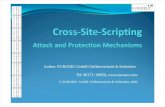 Cross Site Scripting Overview