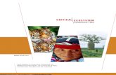 2003 Annual Report Birdlife International Pacific Partnership