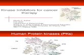 Kinase Inhibitors for Cancers