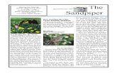 January-February 2007 Sandpiper Newsletter Grays Harbor Audubon Society
