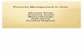 Presentation on Prcosess Managemnt in Unix