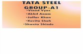 Tata Steel-2003 Final[1]