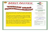 September 2010 MSO Notes