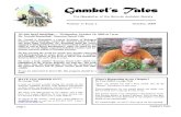 October 2009 Gambel's Tales Newsletter Sonoran Audubon Society