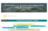 Economic Valuation. Methodologies