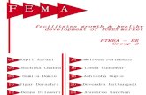 FEMA Project