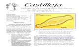 Oct 2007 Castilleja Newsletter, Wyoming Native Plant Society
