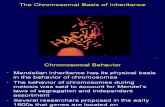 1406 Chromosomal Basis 1