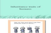 Inheritance Traits of Humans 2