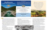Auburn State Recreaion Area Park Brochure