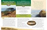 Torrey Pines State Natural Reserve Park Brochure