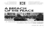 CCLA G20 Interim Report - A Breach of the Peace, June 29 2010