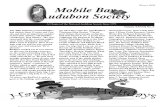 Winter 2009 Mobile Bay Audubon Society Newsletters