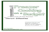 Freezer Cooking on a Budget