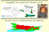 Logistic System Chain Supply Model for Kala Azar