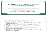 p10 Forms of Business Organization