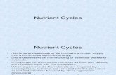 Nutrient Cycles PP