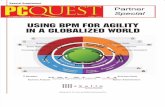 Using BPM for Agility in a Globalized World