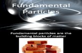 Fundamental Particle Ppt Finished