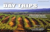 Sonoma County Day Trips off Hwy. 101