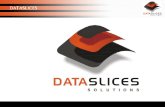 Dataslices Solutions Inc.