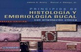 Embriologia e Histologia Bucal