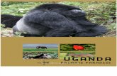 Uganda: Primate Paradise