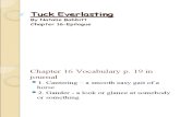 Tuck Everlasting Journal Instructionschapters16_Epilogue