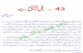 Imran Series No. 43 - Billi Cheekhti Hai (the Cat Cries)