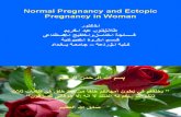 Pregnancy and Ectopic Pregnancy