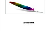 Soft Feather