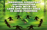 Indonesia-Singapore Collaboration to Deal with the Land and Forest Fires in Jambi Province
