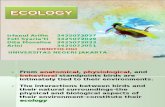Ecology Burung