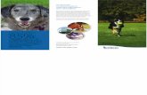 VetStem Small Animal Owner Brochure