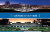 Winston-Salem Demographics Report 2009