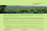Decoding REDD :RESTORATION IN REDD+ Forest Restoration for Enhancing Carbon Stocks