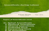 Anaesthesia during Labour by Adnan Akram pdf