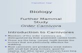 Mammals - Carnivores