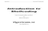 Intro to Shell Coding