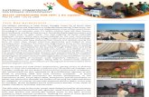 IDP Relief Newsletter