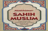 Translation of Sahih Muslim Volume 8 islamicpdf.blogspot.com