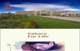 Sahara Trust slides