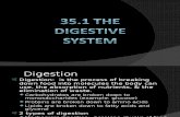 35.1 - The Digestive System