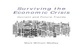 Surviving the Economic Crisis by Mark William Medley