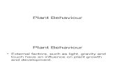 11 Plant Behaviour