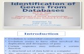 Identification of Gene From Databases