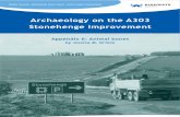 Animal bone - Archaeology on the A303 Stonehenge Improvement