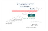 Feasibilty Report San Deep 2003...sandeep gupta